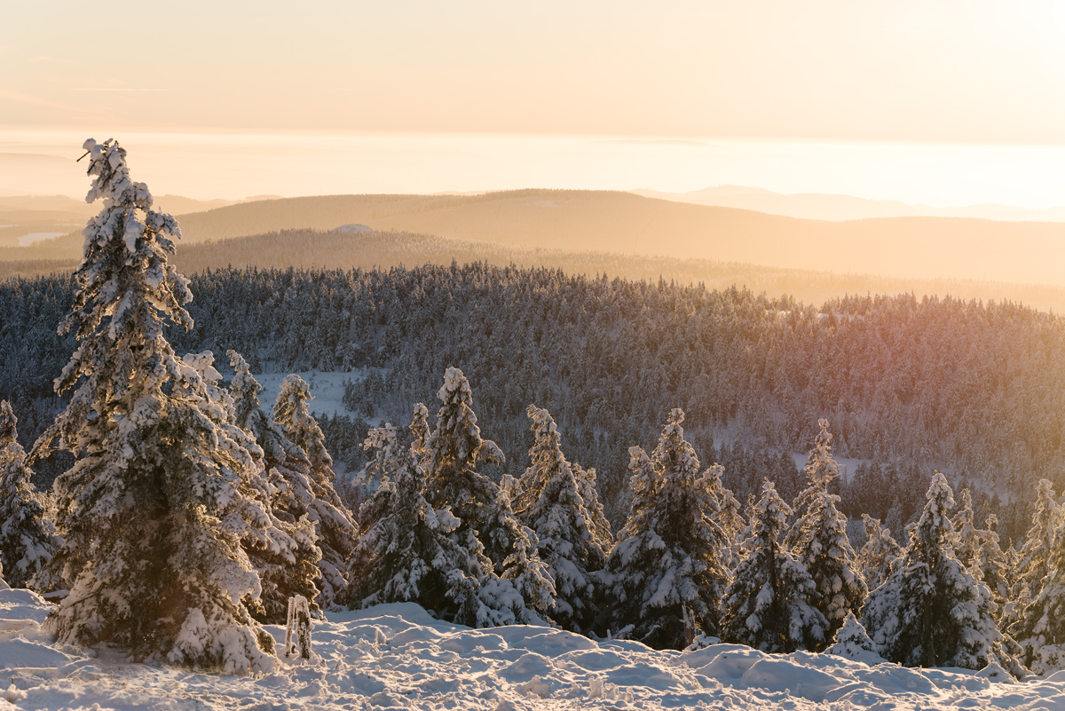 Harz – Ein Wintermärchen auf dem BrockenSichtweise  Sichtweise